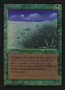 Lifelace [Collectors’ Edition]